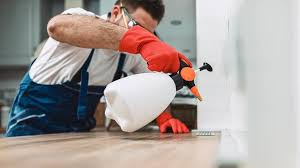 Best Termite Inspection and Treatment  in East Porterville, CA